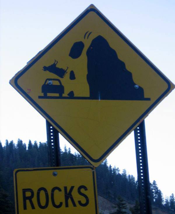 Falling Cow Weird Signs