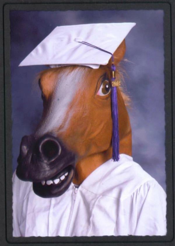 Horse Head