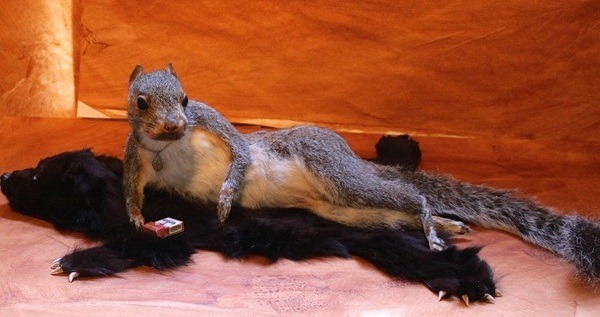 Mátame, camión! (El Tópic de la Taxidermia Chunga) - Página 13 Sexy-squirrel-taxidermy-fails