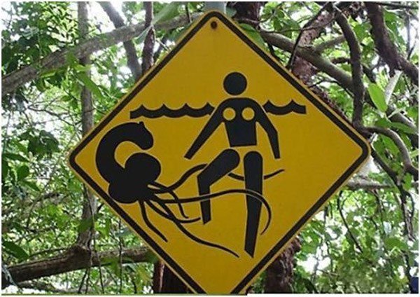 Squid Attack Weird Sign