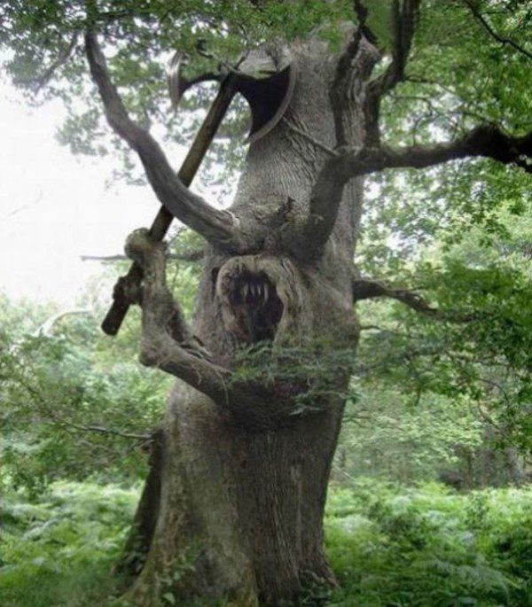 Warrior Tree