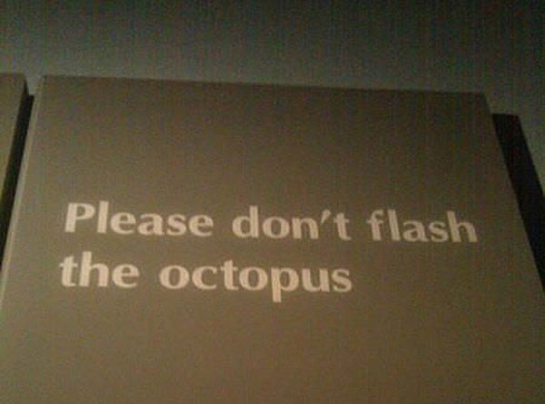 Weird Signs No Flash Octopus