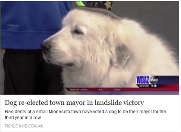 Dog Elected Mayor