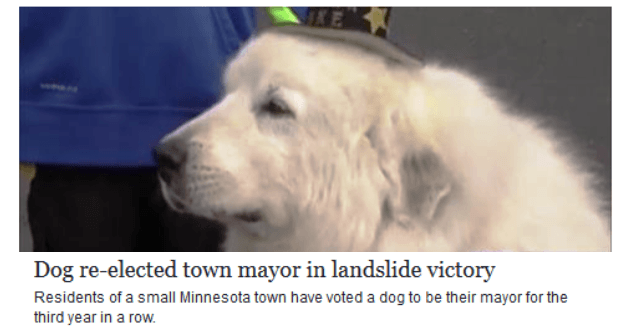 Dog Elected Mayor