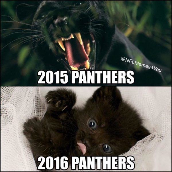 Panthers