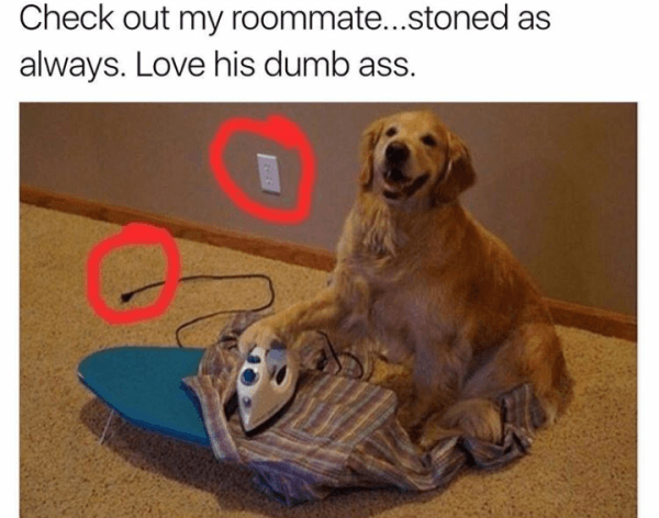 Stoned Roommate