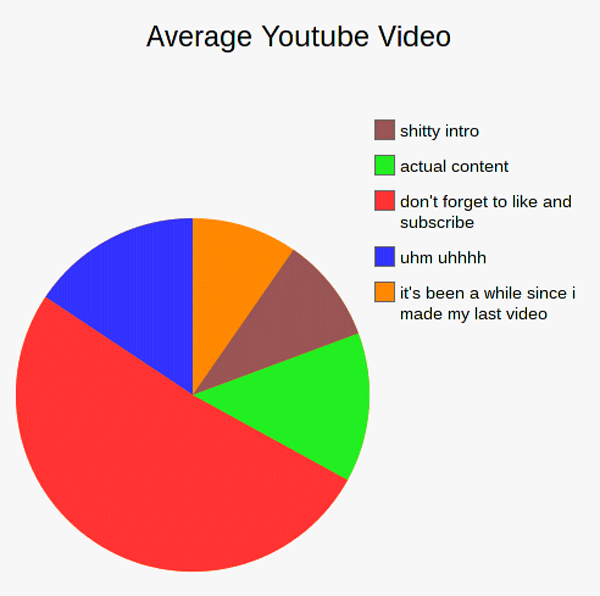 Youtube Vid Anatomy