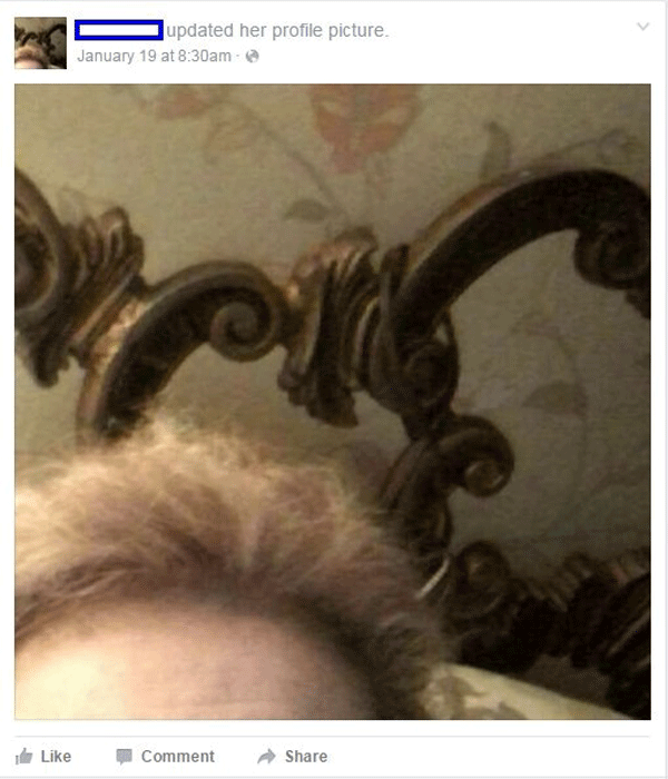 3grandma Selfie Fail