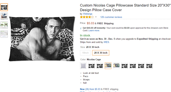 Cage Pillow