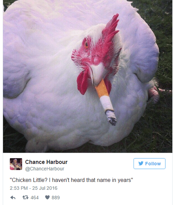Chicken Little Smoking
