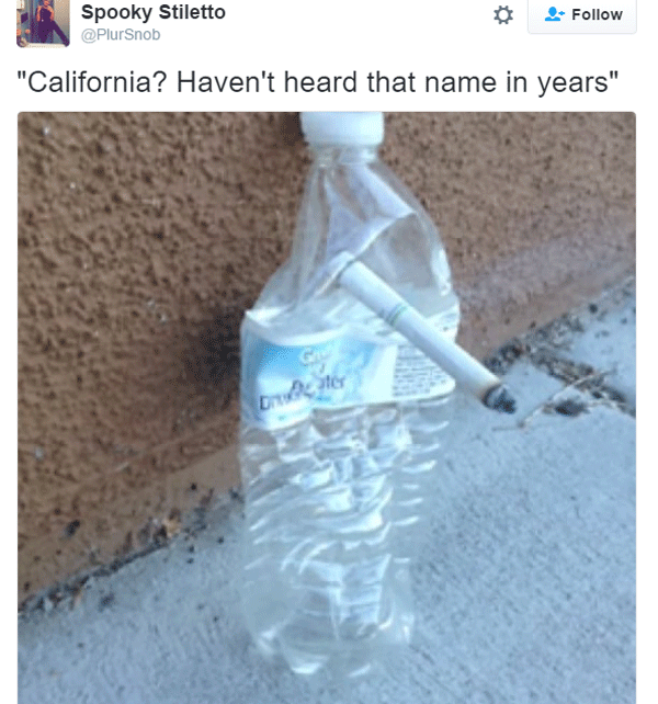 Notalgic Cal Water Bottle