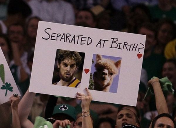 Pau Gasol Llama Birth Funny Sports Signs