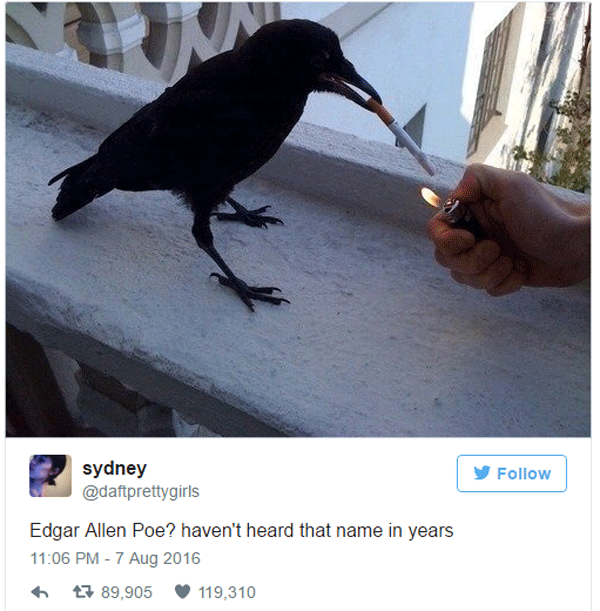 Poe Crow