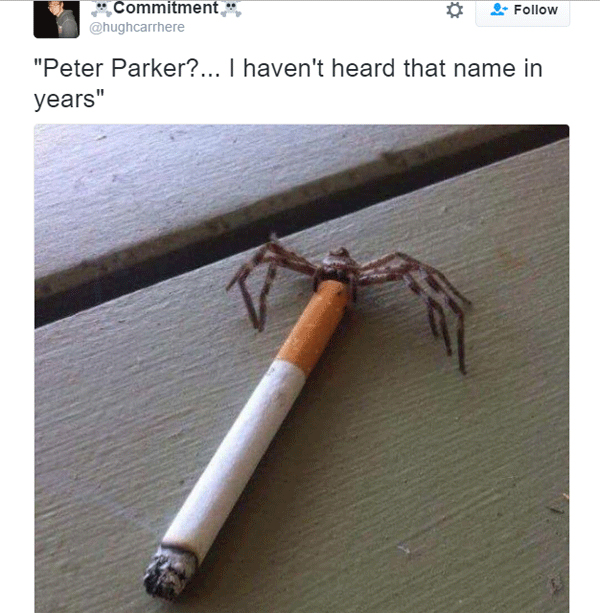 Smoking Peter Parker Spider