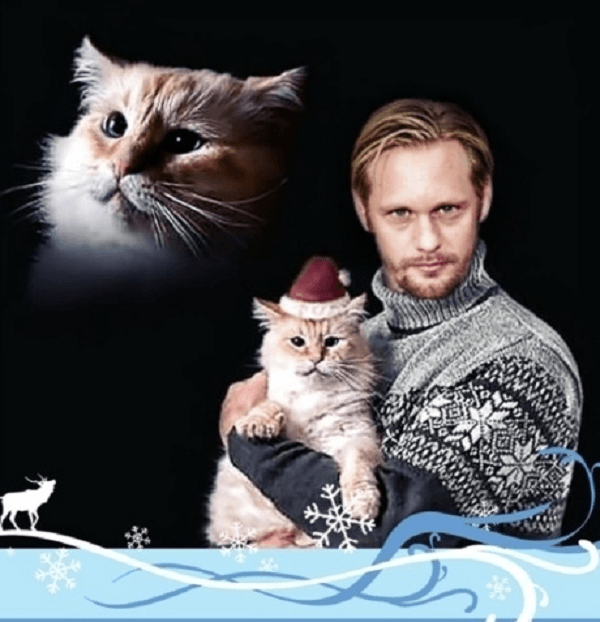 couple and cat christmas card