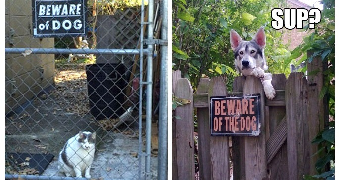Funny Beware Of Dog Signs