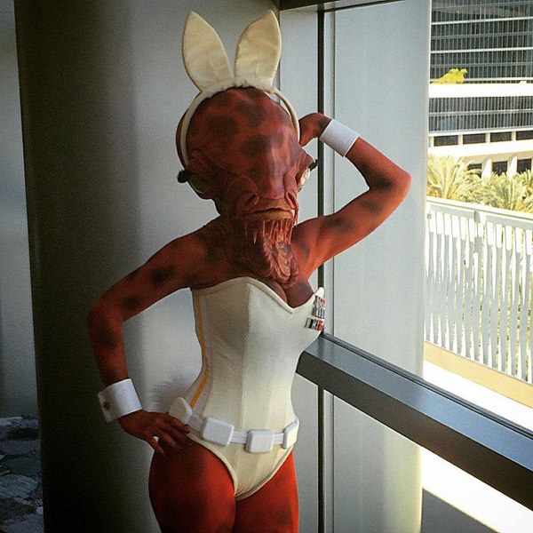 Playbunny Ackbar