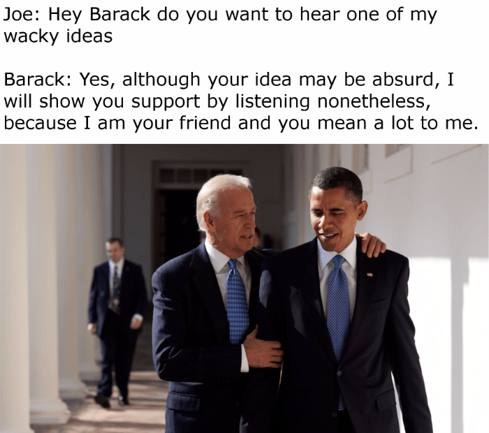 Wacky Ideas Joe Biden