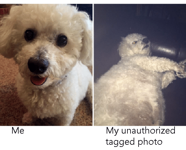 Dog Tagged Vs Profile