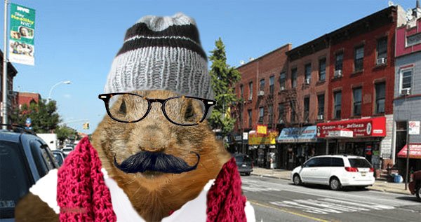 Hipster Groundhog