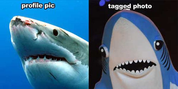 Profile Photo Vs Tagged Left Shark