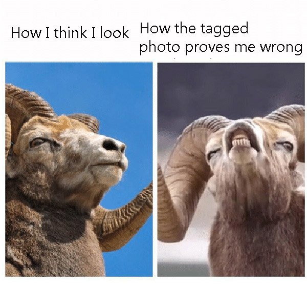 Profile Pic Vs Tagged Pic Ram