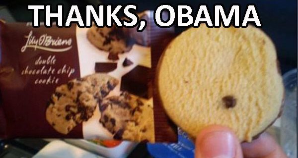 Thanks Obama Cookie