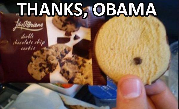 Thanks Obama Cookie