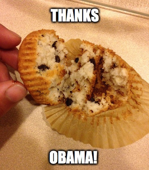 Hilarious Thanks Obama Memes