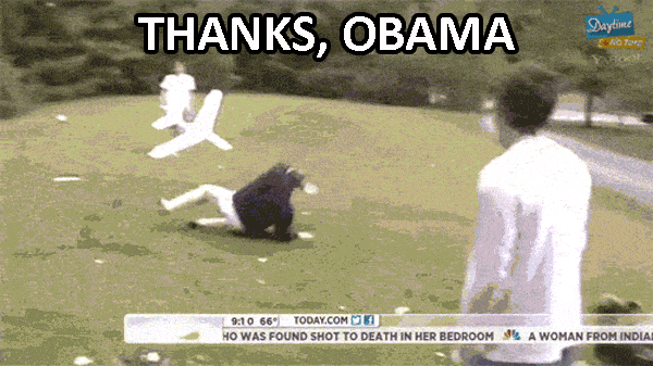 Thanks Obama Plane