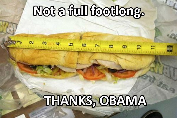 Thanks Obama Sub