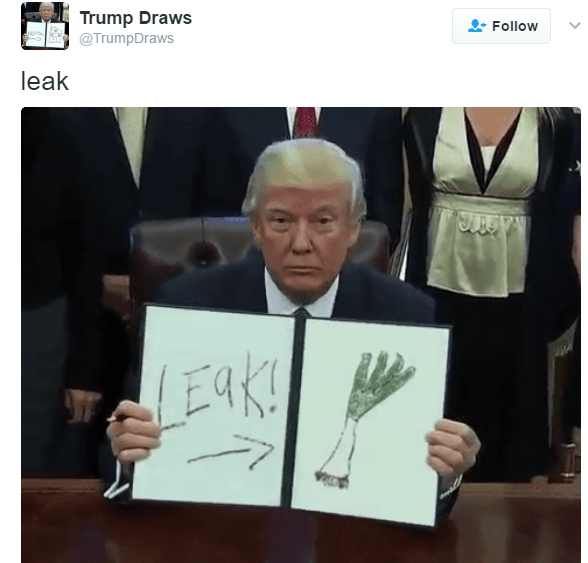 Leek Funny Donald Trump Executive Order Memes