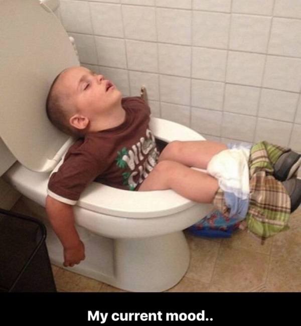 Asleep In Toilet