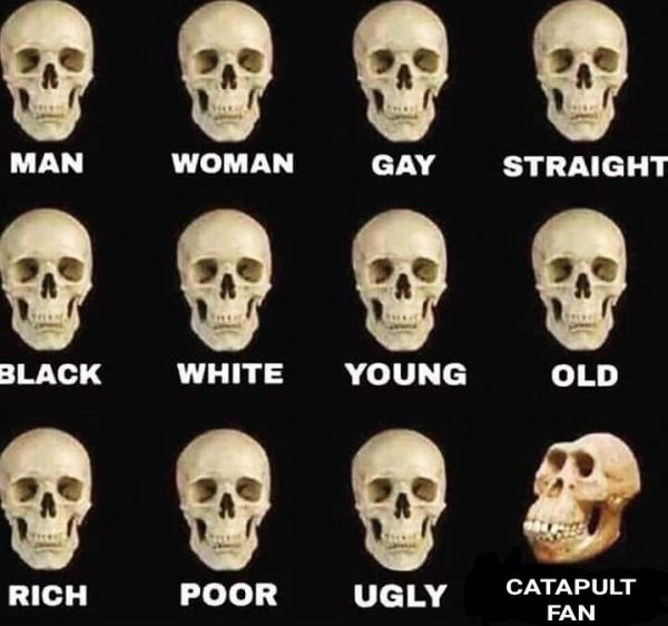 Catapult Fan