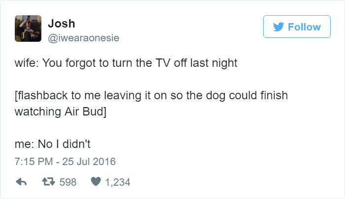 Dog Watches Tv