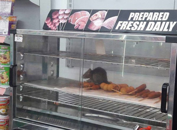 Fresh Rat