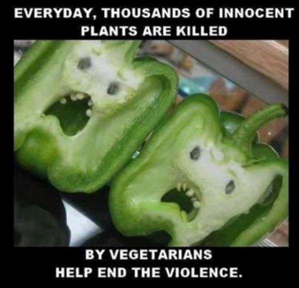 jokes-about-vegans-violence.jpg
