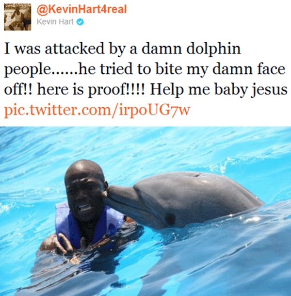 Kevin Hart Dolphin