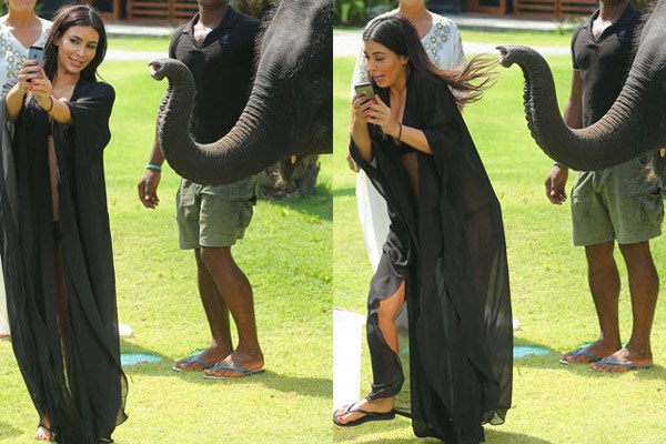 Kimk Elephant