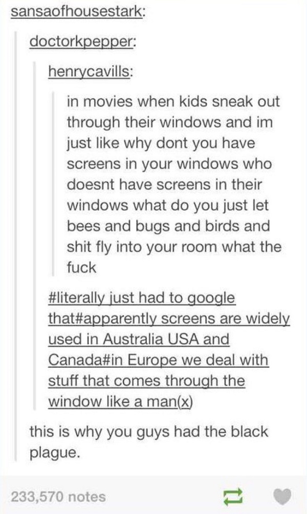Window Screens Black Plague
