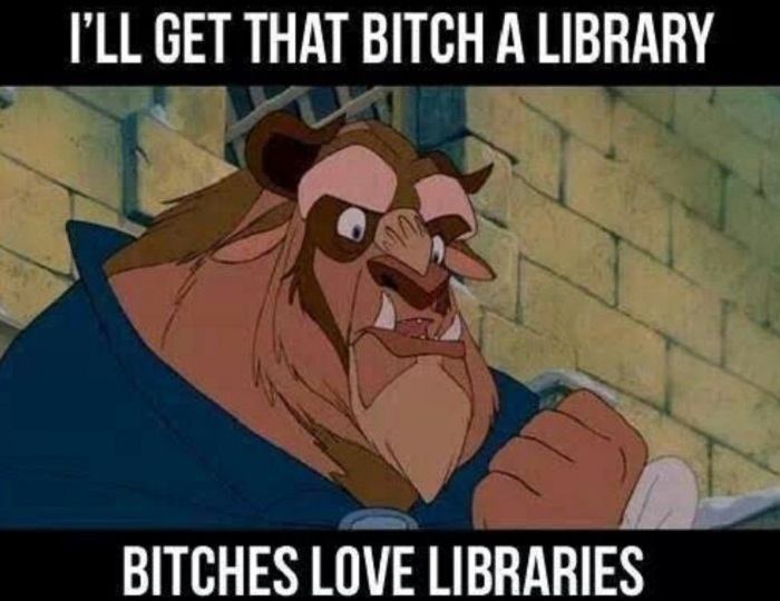 Bitches Love Libraries
