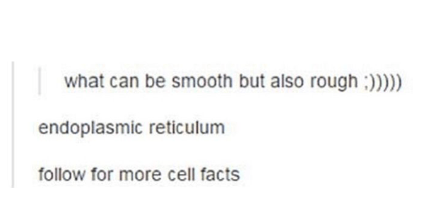 Fun Cell Facts