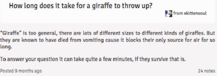 Giraffe Vomit