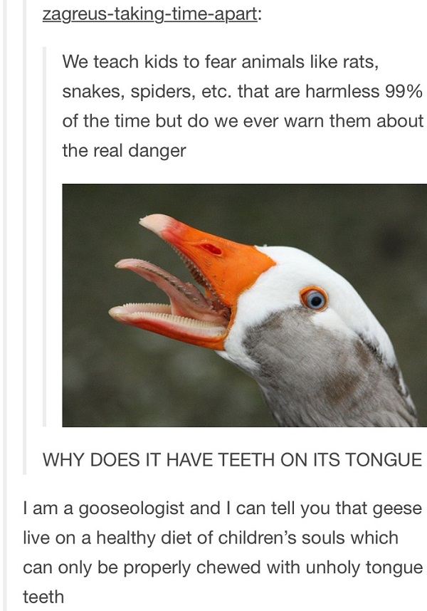 Goose Tongue Teeth