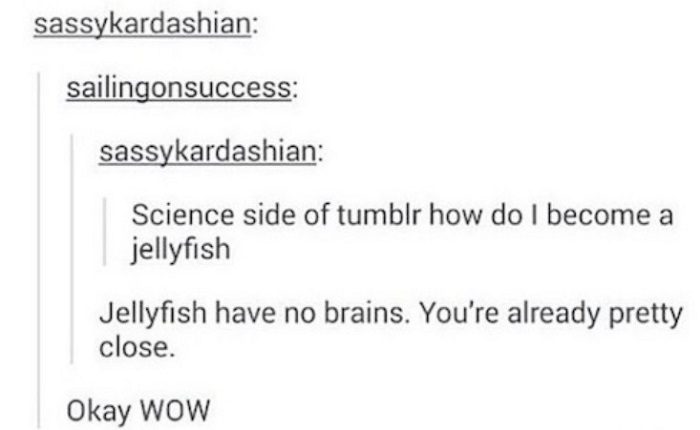 Jellyfish Have No Brains