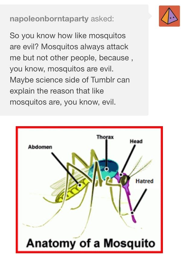 Mosquito Evil