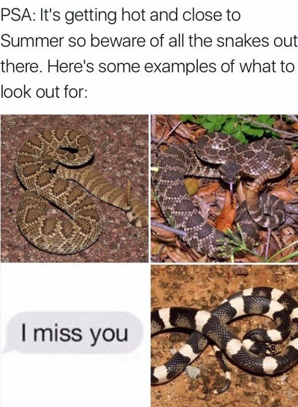 Beware Of Snakes