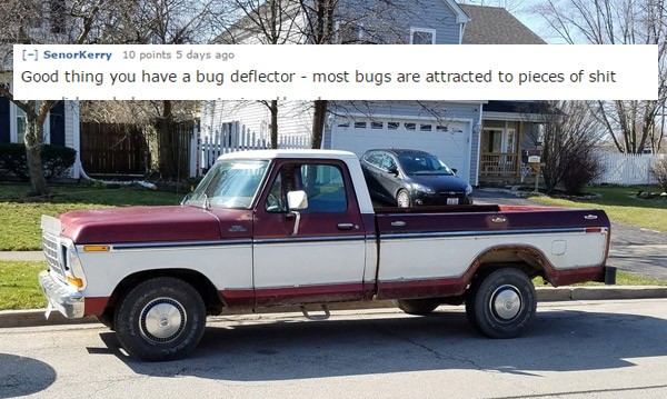 Bug Deflector