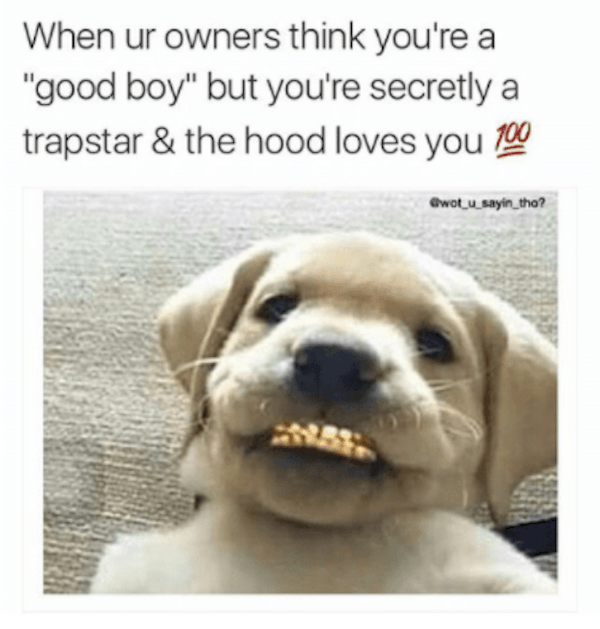 From The Hood