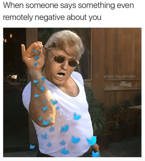 Funniest Donald Trump Memes